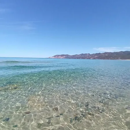 Nyaraló Olga