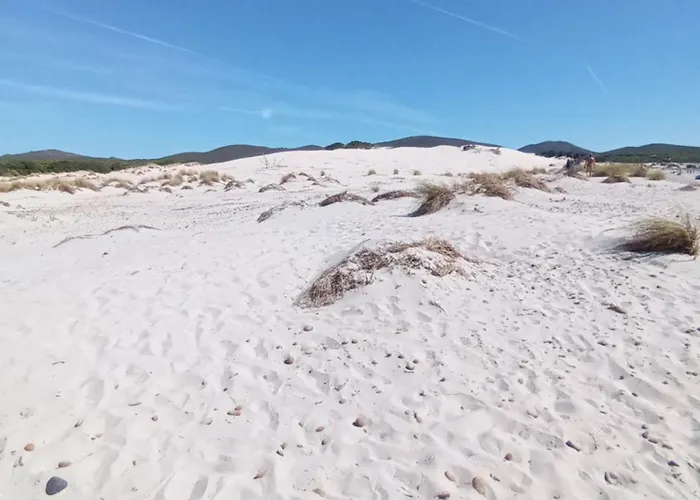 Tatil Evi Olga Nebida