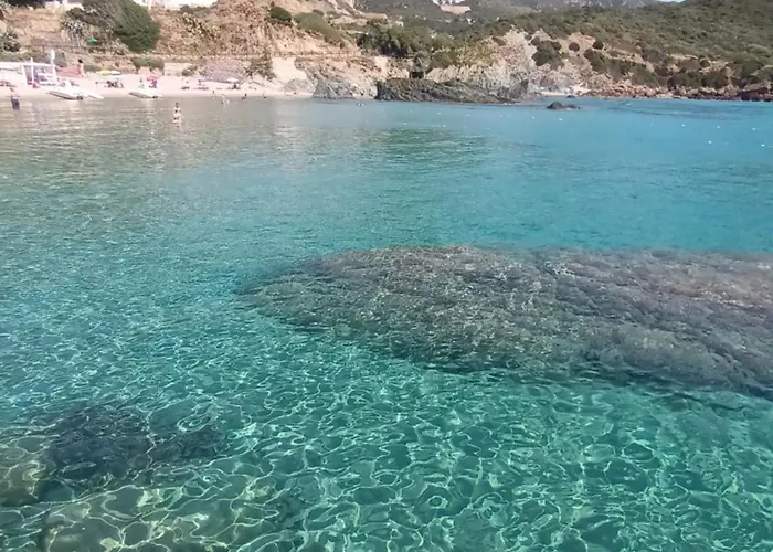 Olga Tatil Evi Nebida